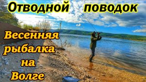 ОТВОДНОЙ ПОВОДОК/ЛОВЛЯ ХИЩНИКА/РЫБАЛКА НА СПИННИНГ/ЛОВЛЯ ОКУНЯ НА ОТВОДНОЙ ПОВОДОК/САМАРА,ВОЛГА/2024