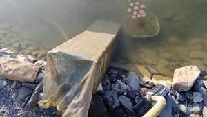 Насос для биоплато и префильтр!