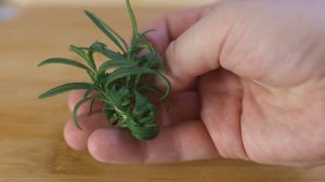 Как приготовить МОРСКИЕ ГРЕБЕШКИ. Гребешки в сливочном соусе, простой рецепт