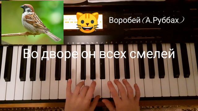 Воробей (А.Руббах) Vorobey (A.Rubbah)