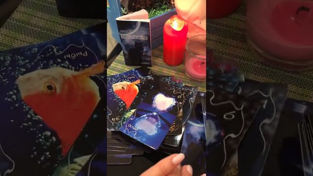 🌖Соперница хочет вам рассказать ...как они живут ???🫣