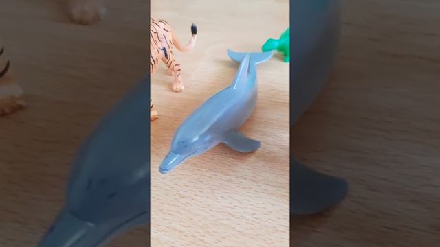 Размеры животных.