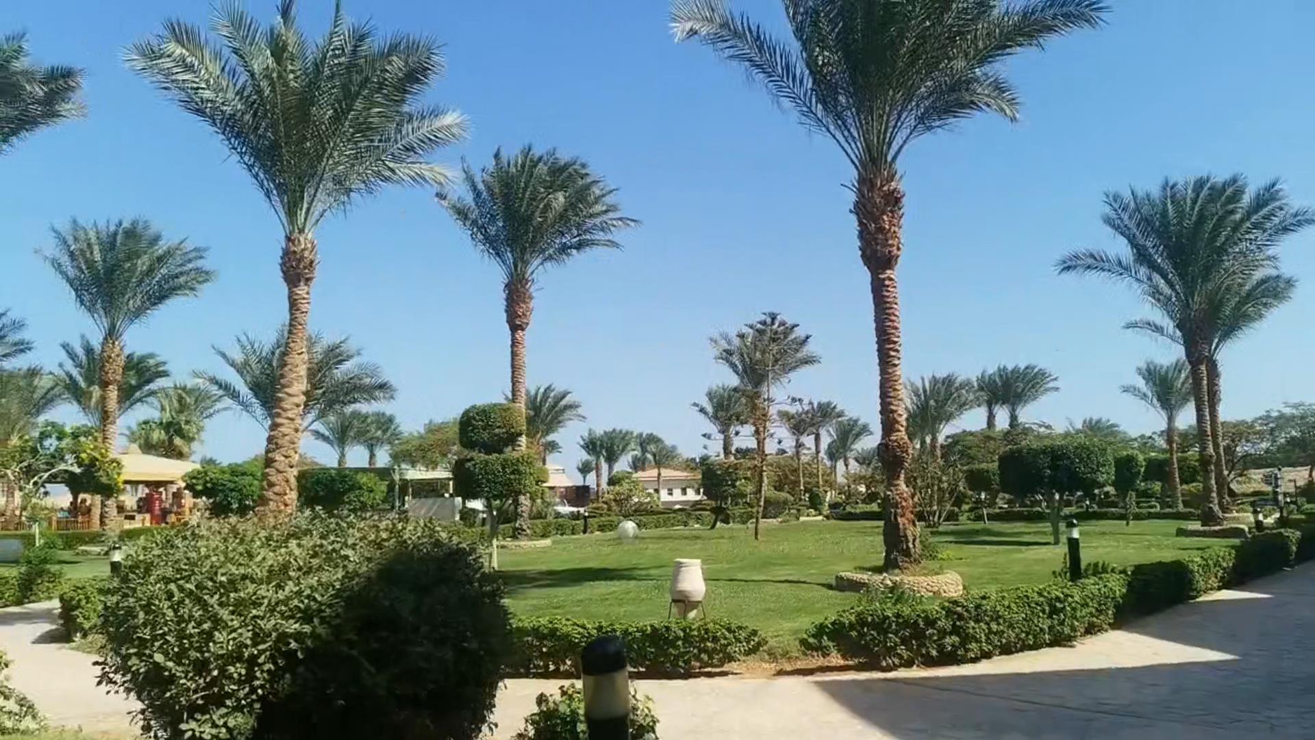 крайний 14 день в отеле long beach Resort HURGHADA.