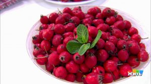 Боярышник. Жить здорово! Фрагмент выпуска от 28.11.2018