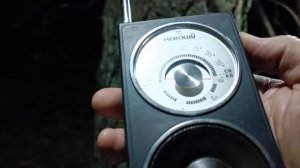 Радиоприёмник Невский 1980 г. Приём на СВ и КВ . Лес ,Тайга -  45 км от г. Минска . Время 23:00 .