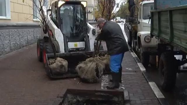 В Ульяновске засохшие деревья заменяют мелколистной липой смотреть онлайн