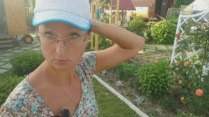 Видео привет с 6 соток 28 июня 2023 года