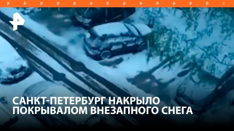 Санкт-Петербург накрыло мощным снегопадом / РЕН Новости