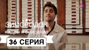 Зимородок описание 36 серии (кадры из серии и сюжет)