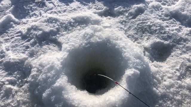 РЫБАЛКА НА ОКЕ / ОЧЕНЬ Много РЫБЫ в ЭТОМ Затоне смотреть онлайн