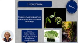 Биология, 10-й класс, Раздражимость организмов