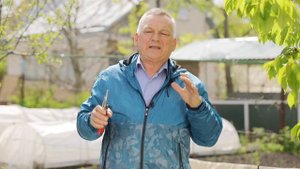 Дачные работы в мае: Что еще нужно успеть сделать?