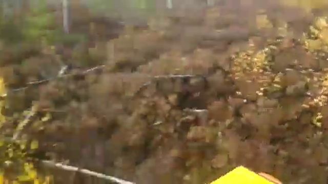 Самодельный Болотоход Плюшка 4х4WD смотреть онлайн