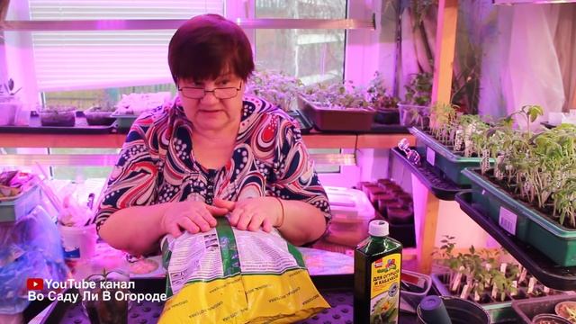 НЕ СЕЙТЕ ОГУРЦЫ И КАБАЧКИ ПОКА НЕ ПОСМОТРИТЕ ЭТО ВИДЕО! ПОСЕВ КАБАЧКОВ НА РАССАДУ.