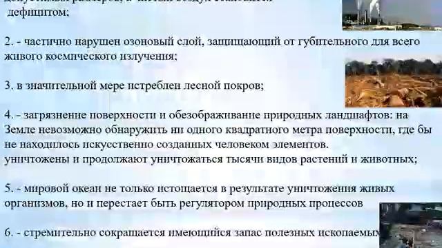 экологическая культура