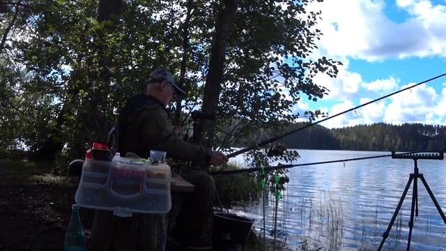 Фидер рулит! Рыба в августе! Feeder on top! Fishing in August!