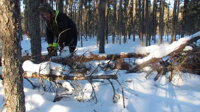 Cutting Firewood with Yamaha Bravo смотреть онлайн