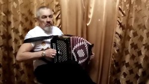 #тёмная ночь #песня #гармонь #игра на гармони