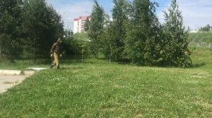 Акарицидная обработка