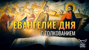 «ОТВЕРГНИСЬ СЕБЯ, И ВОЗЬМИ КРЕСТ СВОЙ» / ЕВАНГЕЛИЕ ДНЯ

«ОТВЕРГНИСЬ СЕБЯ, И ВОЗЬМИ КРЕСТ СВОЙ» / ЕВА