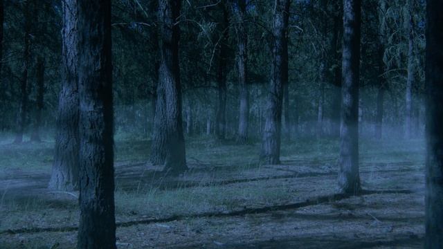 Whistling Woods | Trailer | 2023 Festival смотреть онлайн