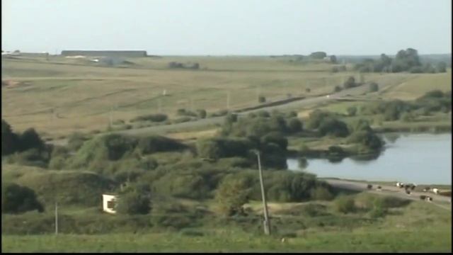 Что такое Пижма?