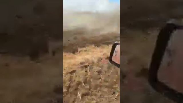 Лущильник дискатор 6 м. в поле тел. 89058109292 ООО АгроРесурс, г. Оренбург, ул. Путепроводная 2/1, смотреть онлайн