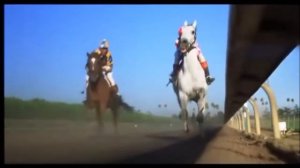 The Black Stallion final race