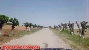 Асака Коратепа Шухратбек Собиров