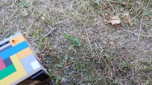 Разбиваю самую прочную копилку из лего.