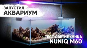 Тестовый запуск аквариума под светильник NuniQ M60