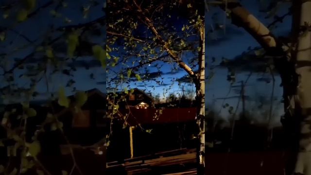 Читаю понравившийся стих?Видео снято у друзей на даче смотреть онлайн