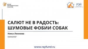 Салют не в радость: шумовые фобии собак