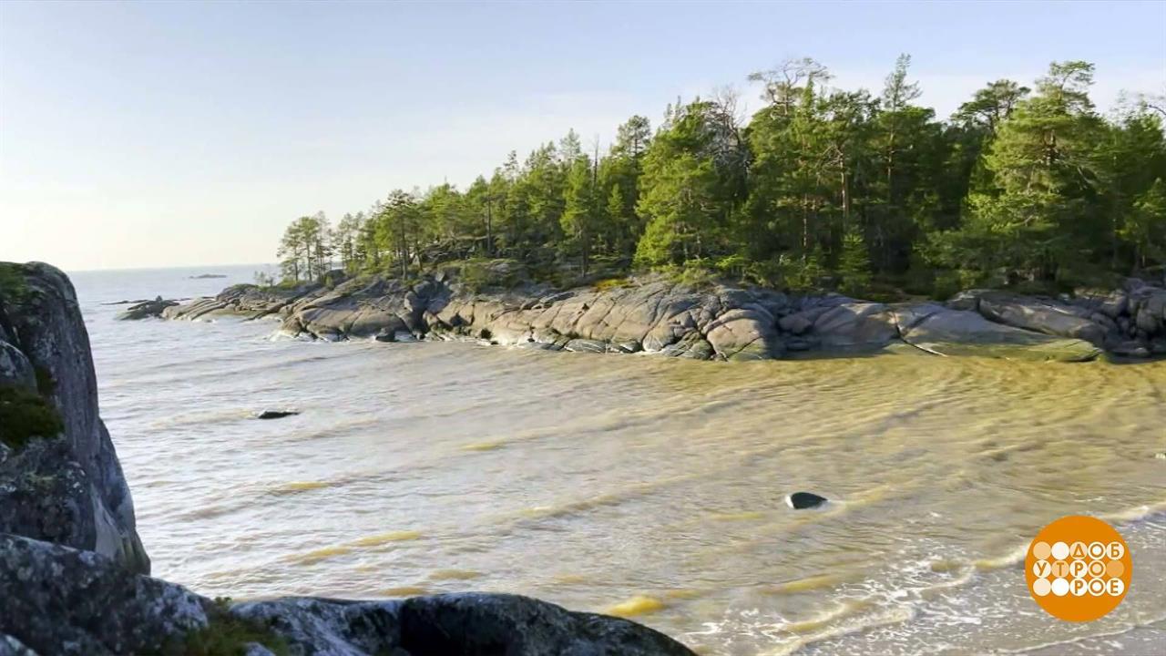 Объехать всю страну. Доброе утро. Суббота. Фрагмент выпуска от 04.11.2023