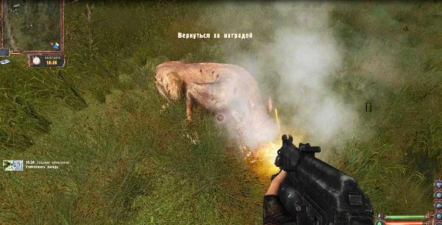 S.t.a.l.k.e.r. lost alpha.Уничтожить кабанов на кордоне смотреть онлайн