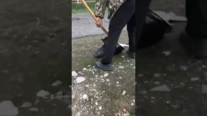 Я в шоке !!!! Огромный форель, да да это Узбекистан город Ташкент, рыбалка на форель 2021 год.
