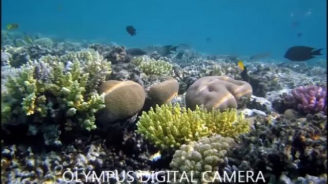 Какая наша планета земля на самом деле часть 6 смотреть онлайн