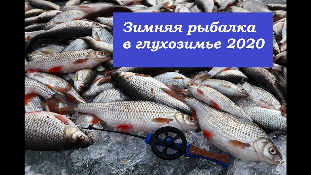 Рыбалка в Глухозимье.Ловим плотву в Тайге смотреть онлайн