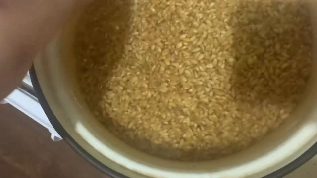 От Торча до Миколога :Как вырастить грибы ?(ч.2 ПОДГОТОВКА ЗЕРНА ) смотреть онлайн