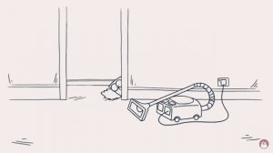 Кот Саймона и полесос