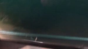 фиат палио финиш