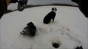 жерлицы оз. медведько