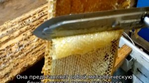 Откачка меда в августе — особенности