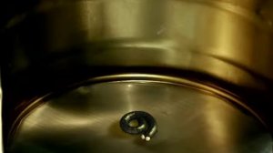 Minuscule 07 Сороконожки