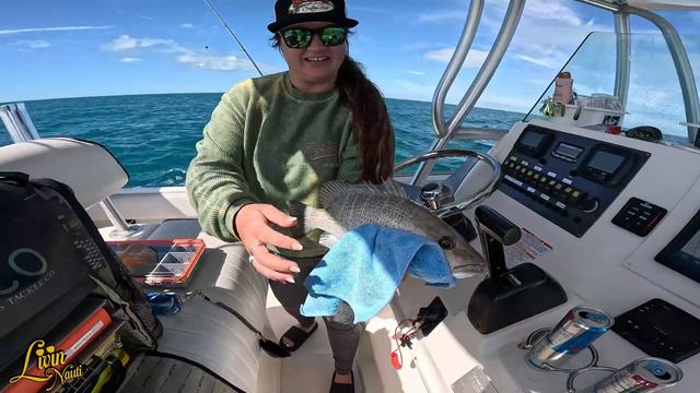 Florida Keys Patch Reef Fishing Marathon Porgy Catch and Cook Tacos Mangrove Snapper Huge Grunt смотреть онлайн