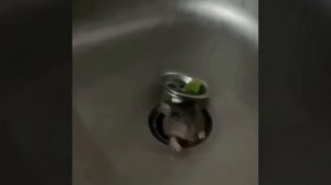 К вам можно?