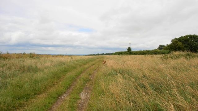 Canon EOS 760D with EF-S 18-135mm f/3.5-5.6 IS STM lens samples смотреть онлайн