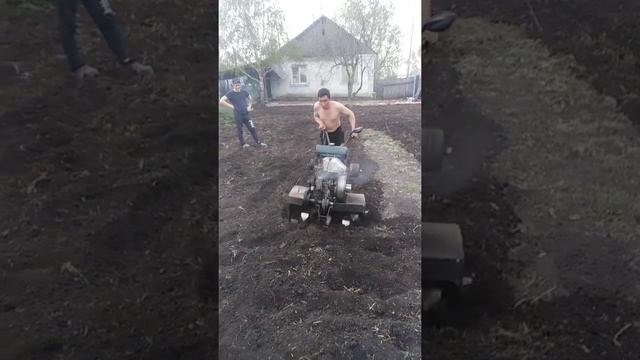 Мотоблок Урал на пахате смотреть онлайн