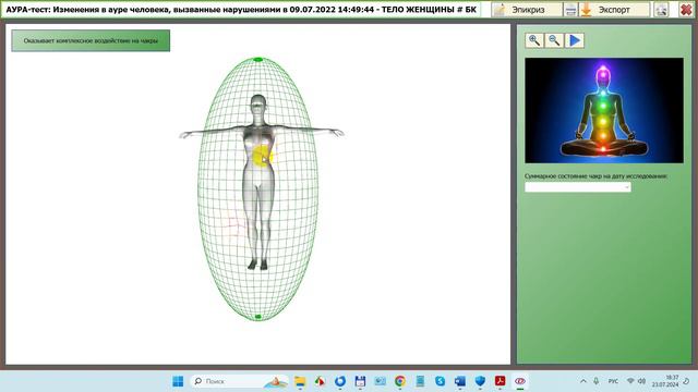 2024-07-23_184314-ПО Дианел®-2.1 Окно Анализ, оценка в окне Аура-тест, диаграммы и трактовка