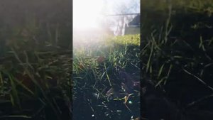 станица Ярославская. Январские, тёплые окна.